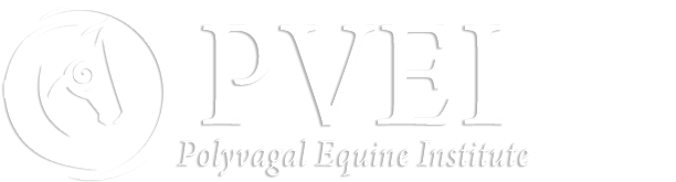 Polyvagal Equine Institute (PVEI)