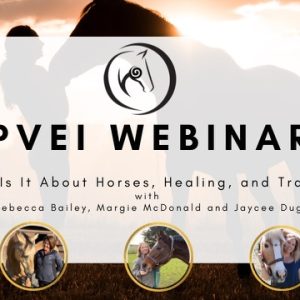 What Is It About Horses, Healing, and Trauma?