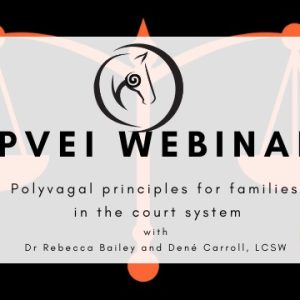 Polyvagal Principles for Families in the Court System