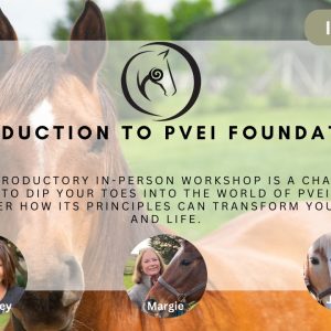 Polyvagal Ponies In-Person Workshop: March 15-16, 2024