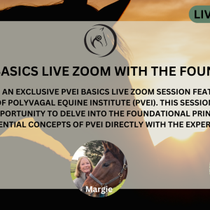 PVEI Basics Live Zoom with the Founders: June 9, 2024
