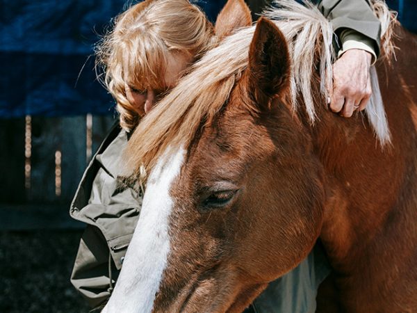 *Free* Connecting in a Regulated Manner with your Horse - August 8, 2025