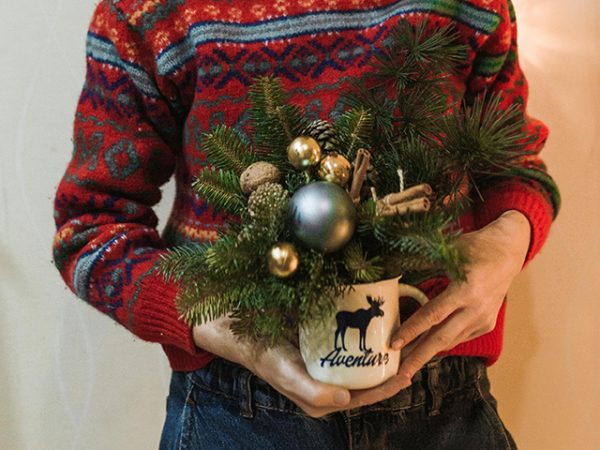 Polyvagal Principles for Emotional Regulation: Holiday Edition - December 6, 2025