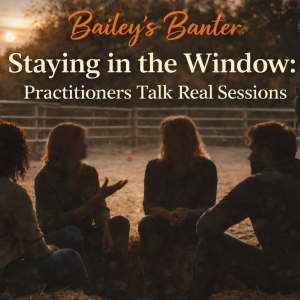 Bailey's Banter: Staying in the Window: Practitioners Talk Real Sessions - May 11, 2026