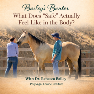 Bailey's Banter: What Does "Safe" Actually Feel Like in the Body? - March 23, 2026