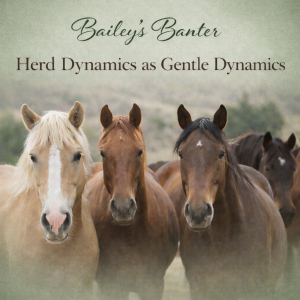 Bailey's Banter: Herd Dynamics as Gentle Dynamics - April 27, 2026