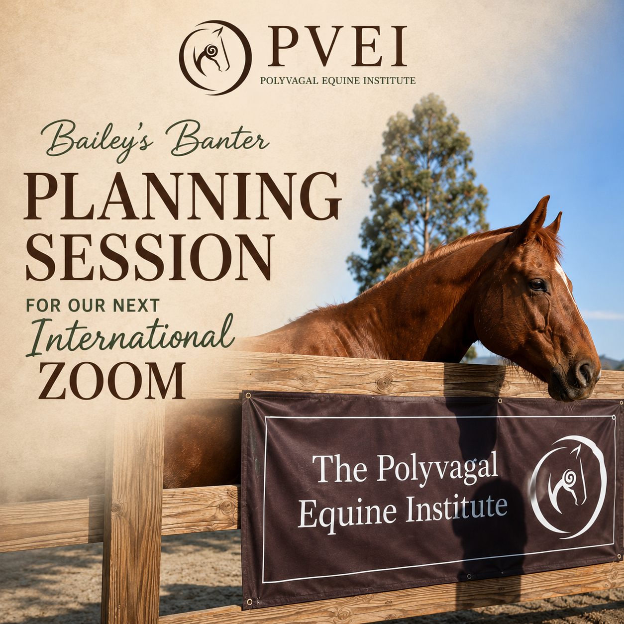 Bailey's Banter: International Zoom Education Series Planning Session June 5th, 2026